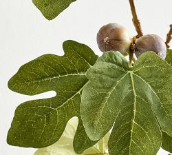 Faux Green Fig Branch | Pottery Barn (US)
