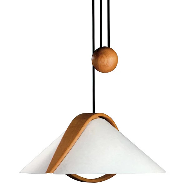 Domus Arta Adjustable Pendant | Lumens