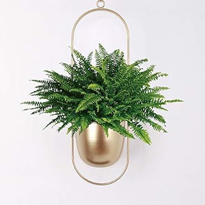 Sinolodo Metal Hanging Planters Boho Plant Hanger for Indoor Wall and Ceiling Hanging planters,Me... | Amazon (US)