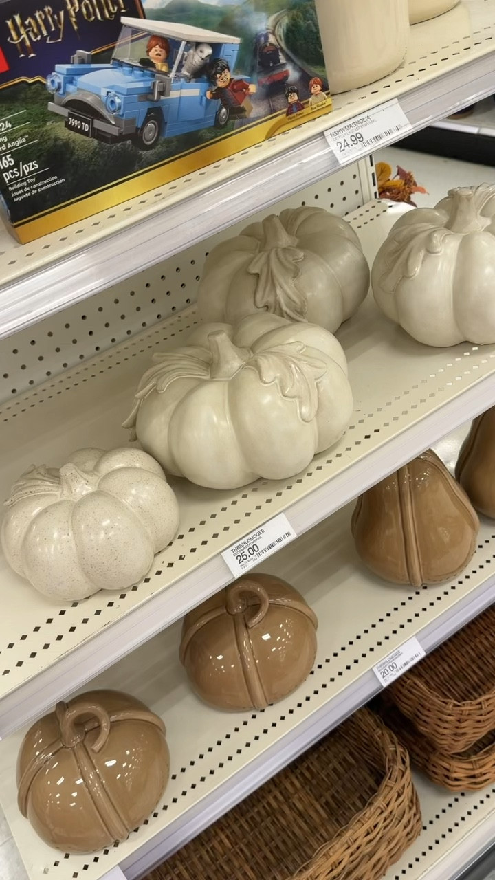 Beautiful fall inspired ceramic pumpkins at Target this season - they have multiple sizes in each color! 

#Targethome
#Targetfalldecor