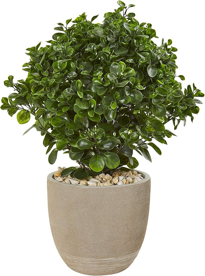 Nearly Natural 30in. Peperomia Artificial Plant in Sand Stone Planter UV Resistant (Indoor/Outdoo... | Amazon (US)