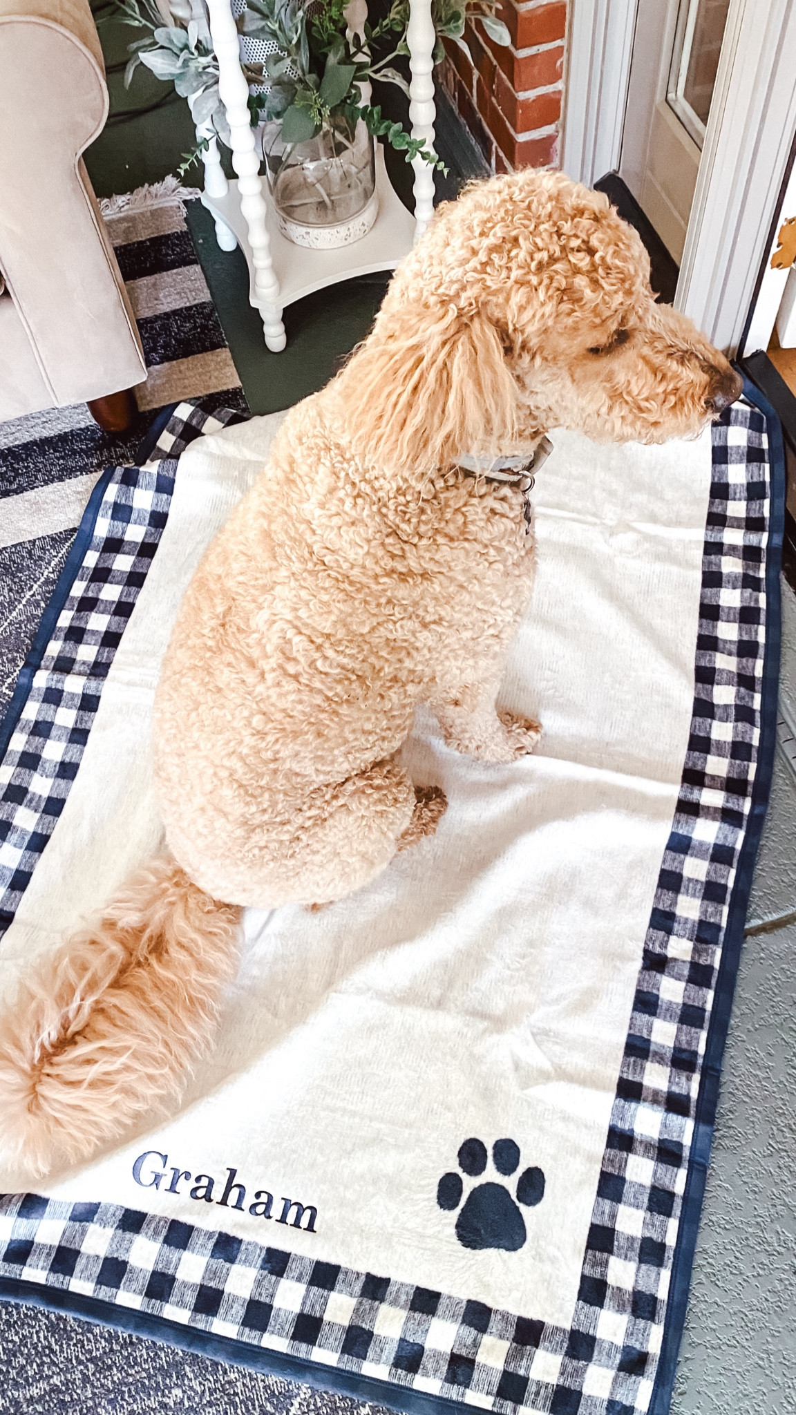 Look who just got his first Chappy Wrap!  The best blankets and this one’s on sale!

#LTKSaleAlert