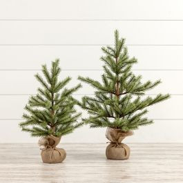 Burlap Wrapped Timberland Pine Tree | Antique Farm House