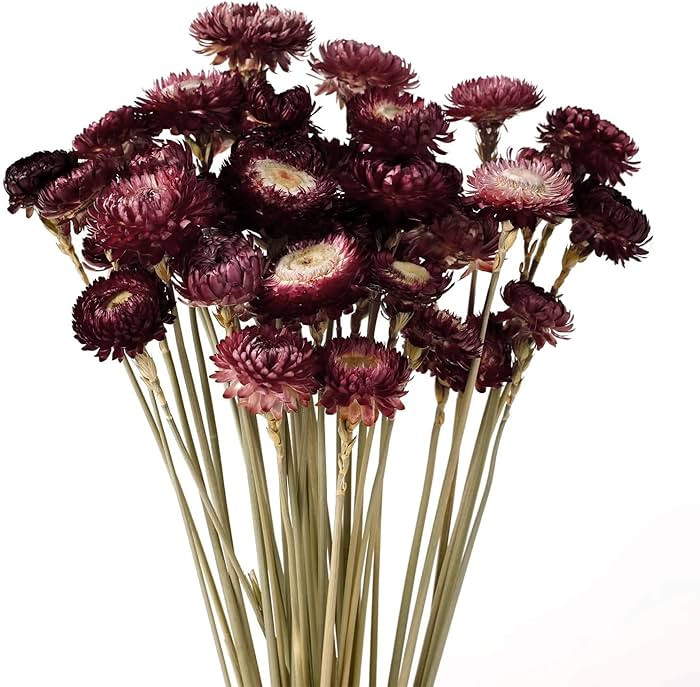 Dried Flower 40PCS Daisy Bouquet 100% Natural Chrysanthemum Dry Flower with Stem for Vase Home d... | Amazon (US)