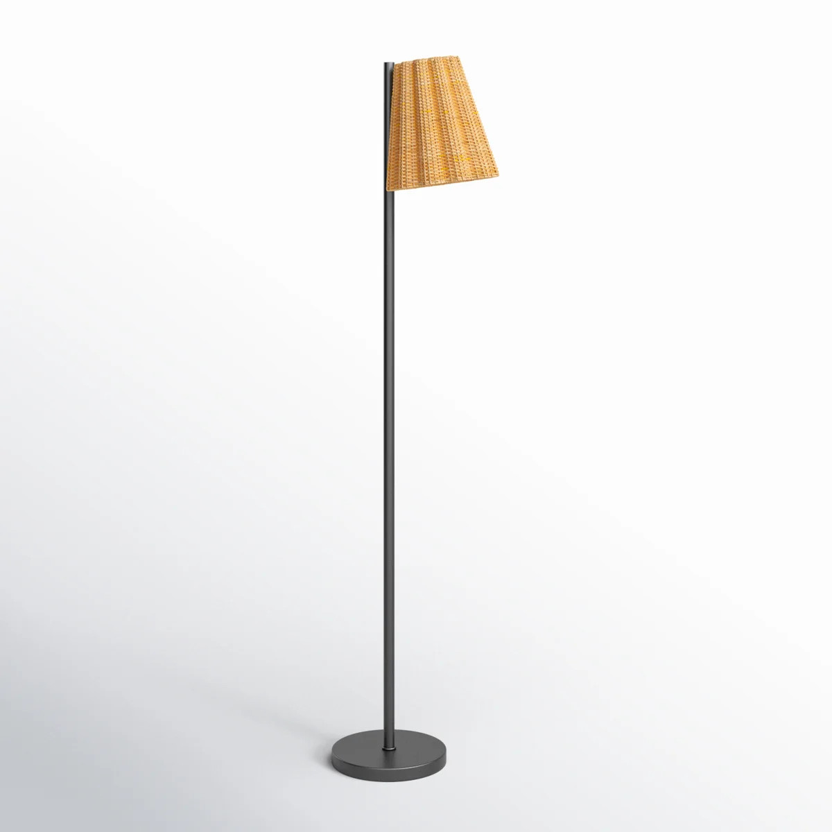 Vincente Cane and Iron Floor Lamp | Joss & Main