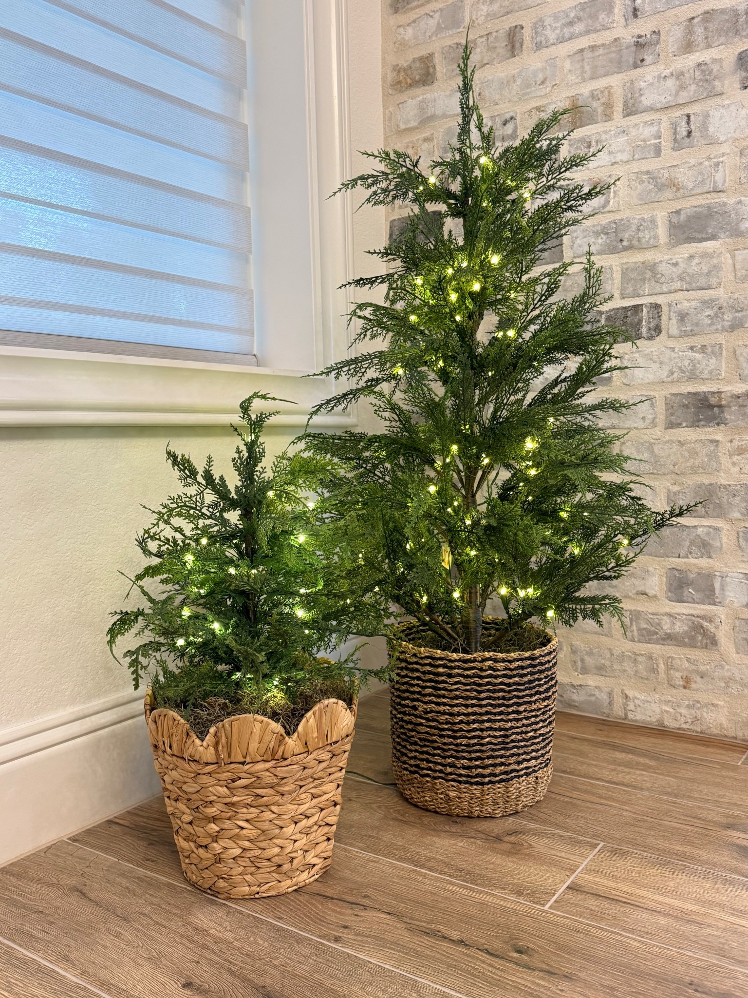 Viral pre lit cypress Christmas trees  

#LTKHome #LTKSeasonal #LTKStyleTip