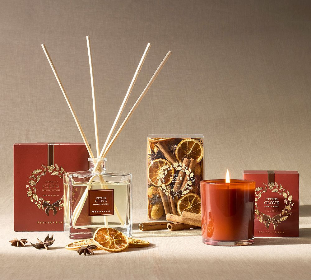 Citrus Clove Scent Collection | Pottery Barn (US)