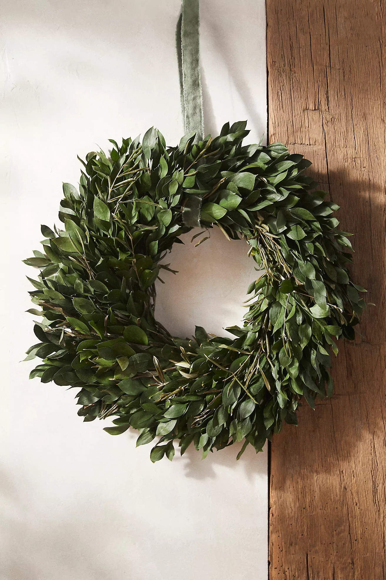 Fresh Israeli Ruscus + Olive Leaf Wreath | Anthropologie (US)