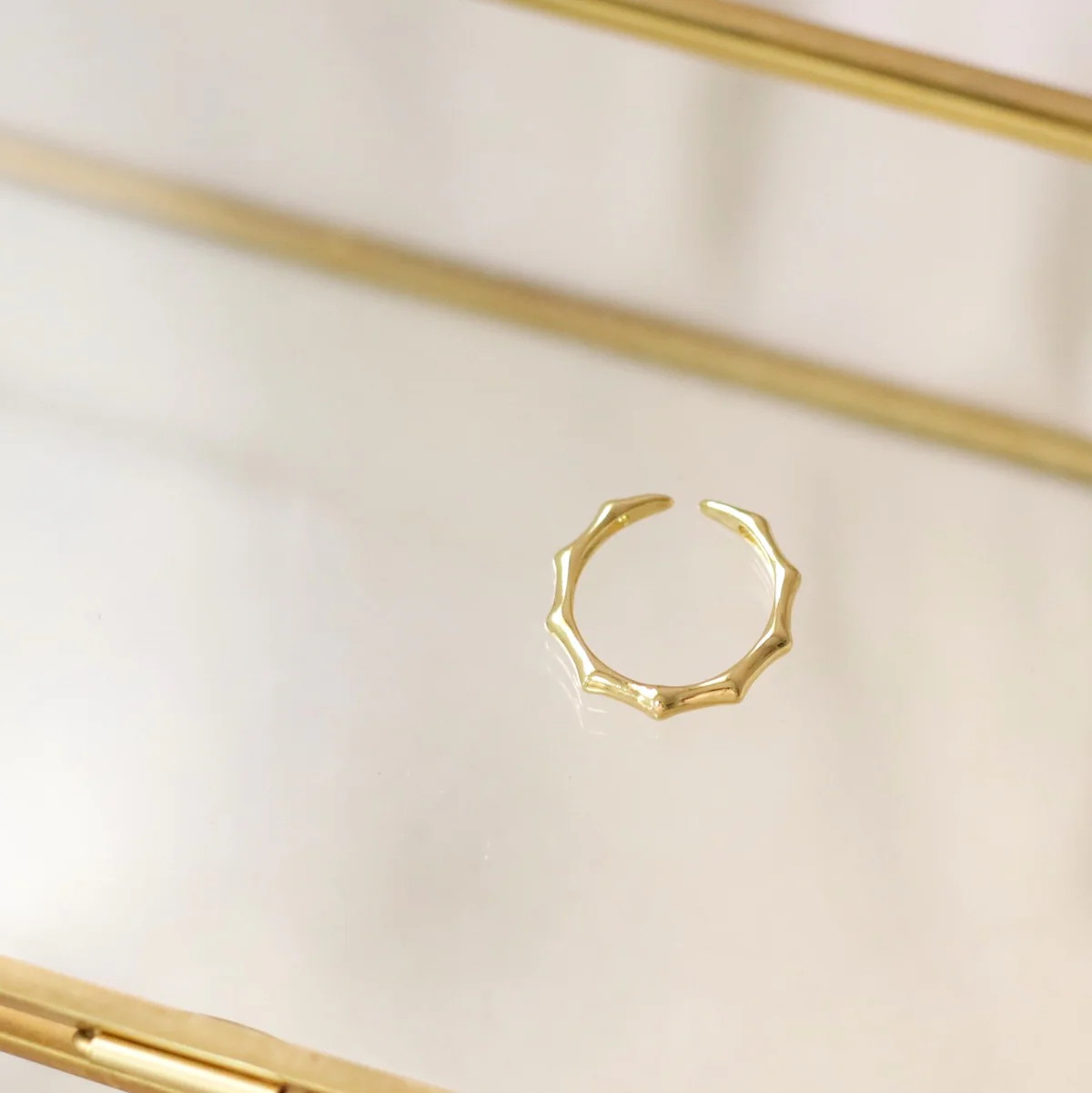 Lucky Bamboo Ring | Taudrey