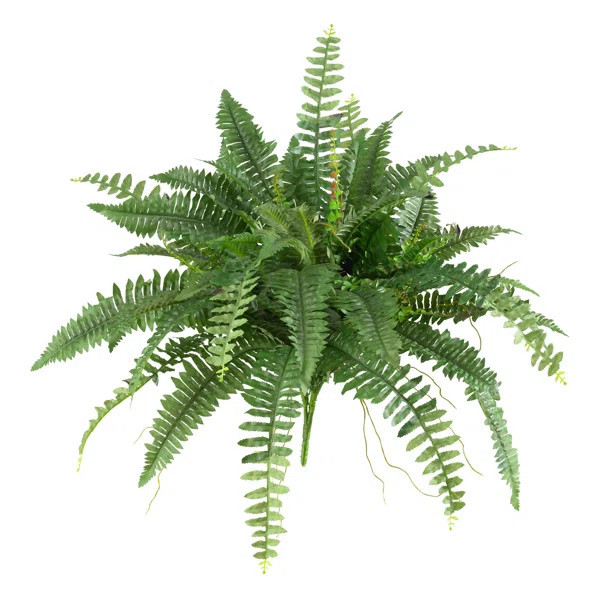 Faux Fern Plant | Wayfair North America