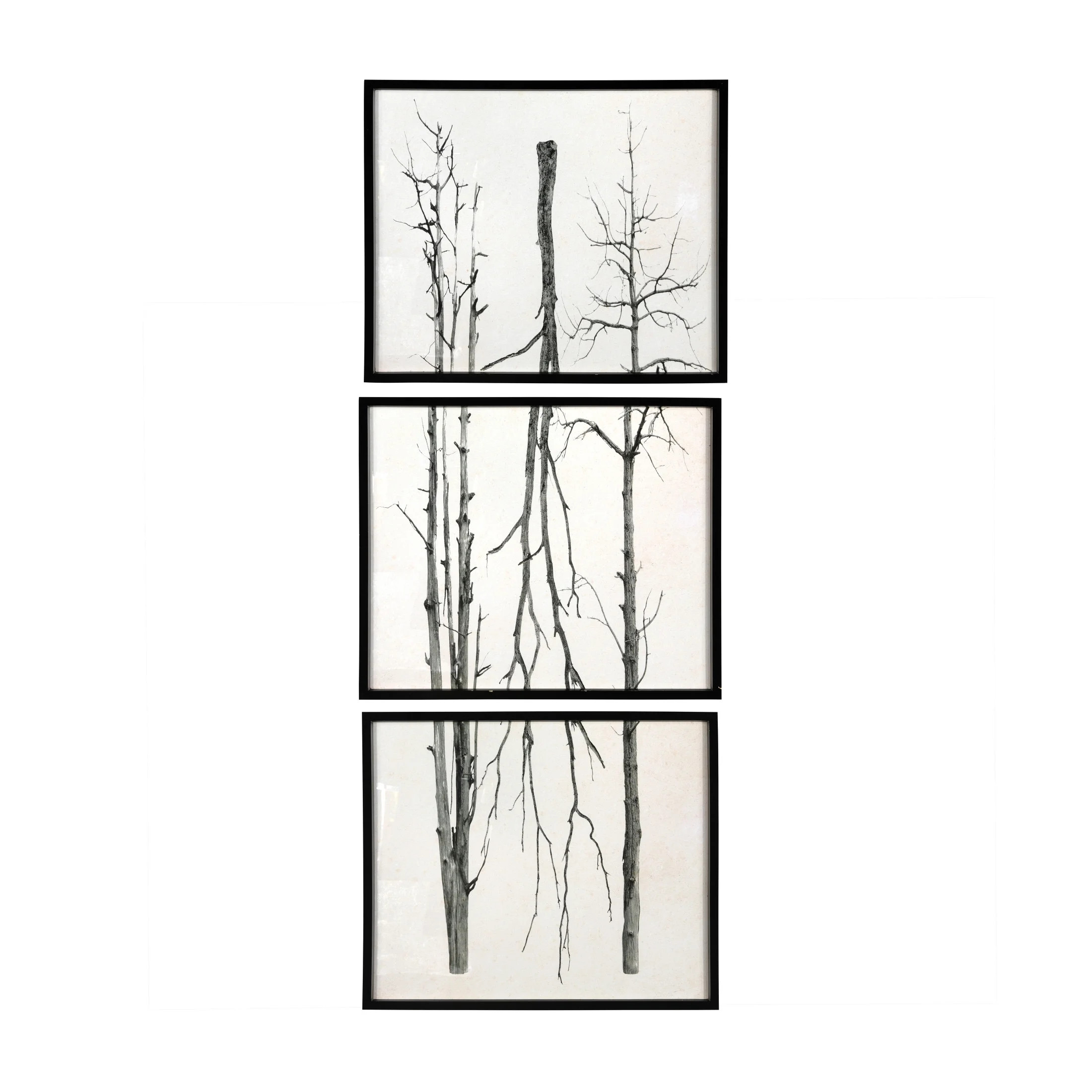 Creative Co-Op Wood Framed Branch Artwork, Black (Set of 3) | Walmart (US)