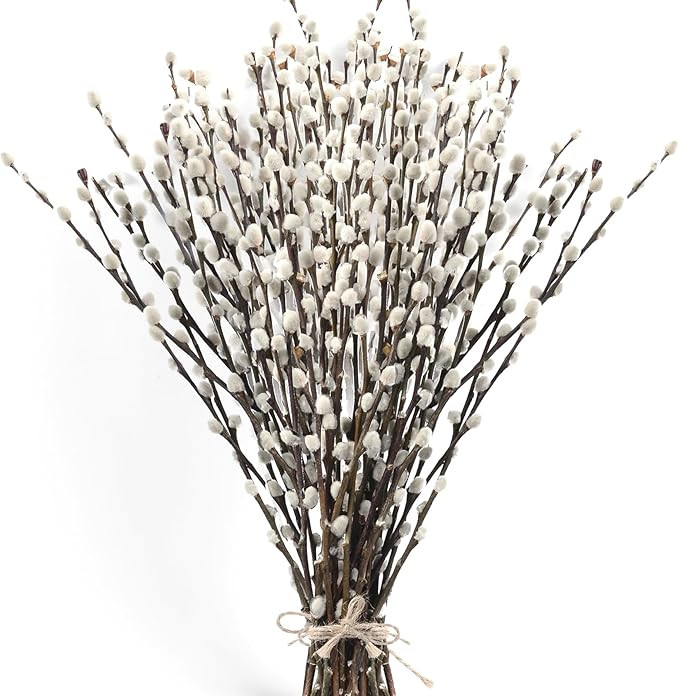 60 Stems 17＂Real Dried PussyWillow Branches for Vase, Natural PussyWillows with White Flowers, ... | Amazon (US)