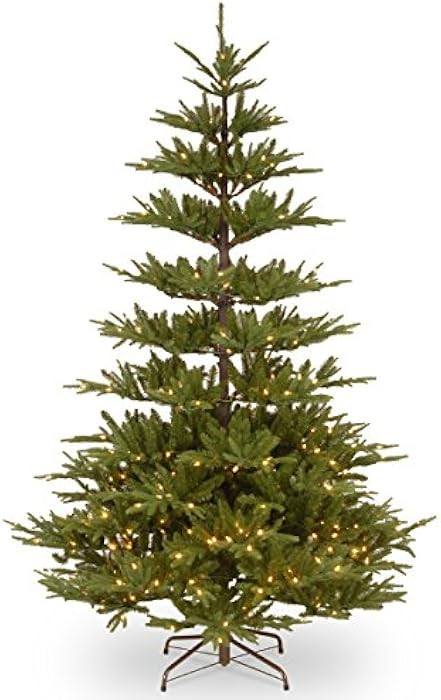 National Tree Company 'Feel Real' Pre-lit Artificial Christmas Tree | Includes Pre-strung White L... | Amazon (US)