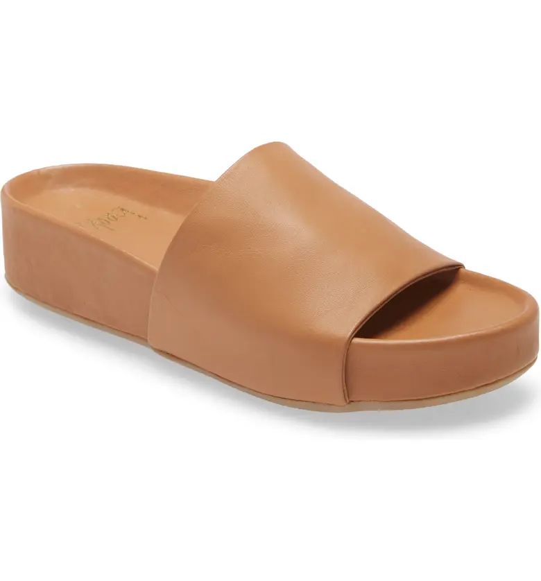 Pelican Platform Slide Sandal | Nordstrom