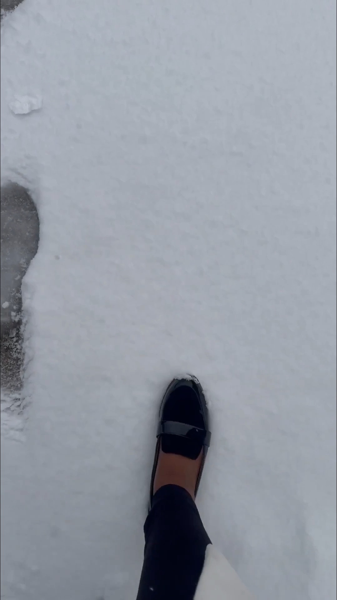 Secretsofyve: the most elegant & comfortable (Dr.Scholl’s) pair of loafers I have owned yet! Got them from @Marshalls, but they are in stock on @Amazon Dress up or down. Wedding guest shoes. Office wear. 
#Secretsofyve #ltkgiftguide
Always humbled & thankful to have you here.. New posts daily at 3pm &4:15pm EST. 
CEO: PATESI Global & PATESIfoundation.org
 @secretsofyve : where beautiful meets practical, comfy meets style, affordable meets glam with a splash of splurge every now and then. I do LOVE a good sale and combining codes! #ltkstyletip #ltksalealert #ltkfamily #ltku #ltkfindsunder100 #ltkfindsunder50 #ltkover40 #ltkplussize #ltkworkwear #ltkmidsize #ltktravel #ltkdayinmylife #ltkparties #ltkbump #ltkfestival #ltkwedding #ltkpetite #ltkholiday #ltkmomlife #ltkvlog secretsofyve 

#LTKWorkwear #LTKTall #LTKSeasonal