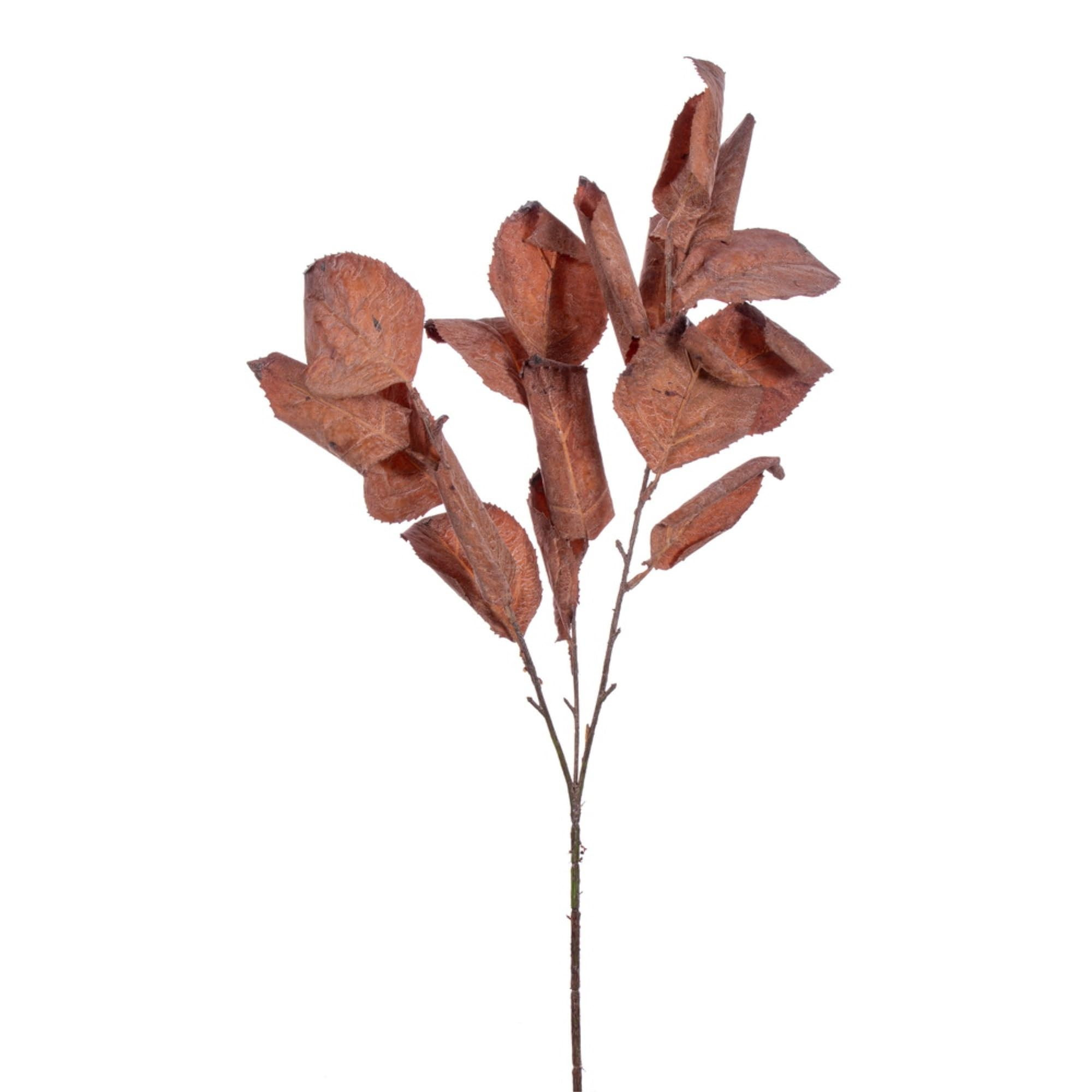Vickerman 28" Dark Brown Artificial Dried Leaf Spray, 3 per Bag. | Amazon (US)