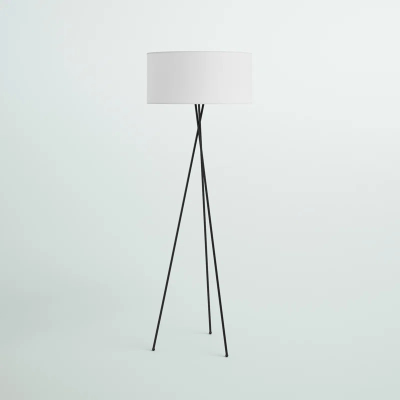 Barfield 66" Tripod Floor Lamp | Wayfair North America