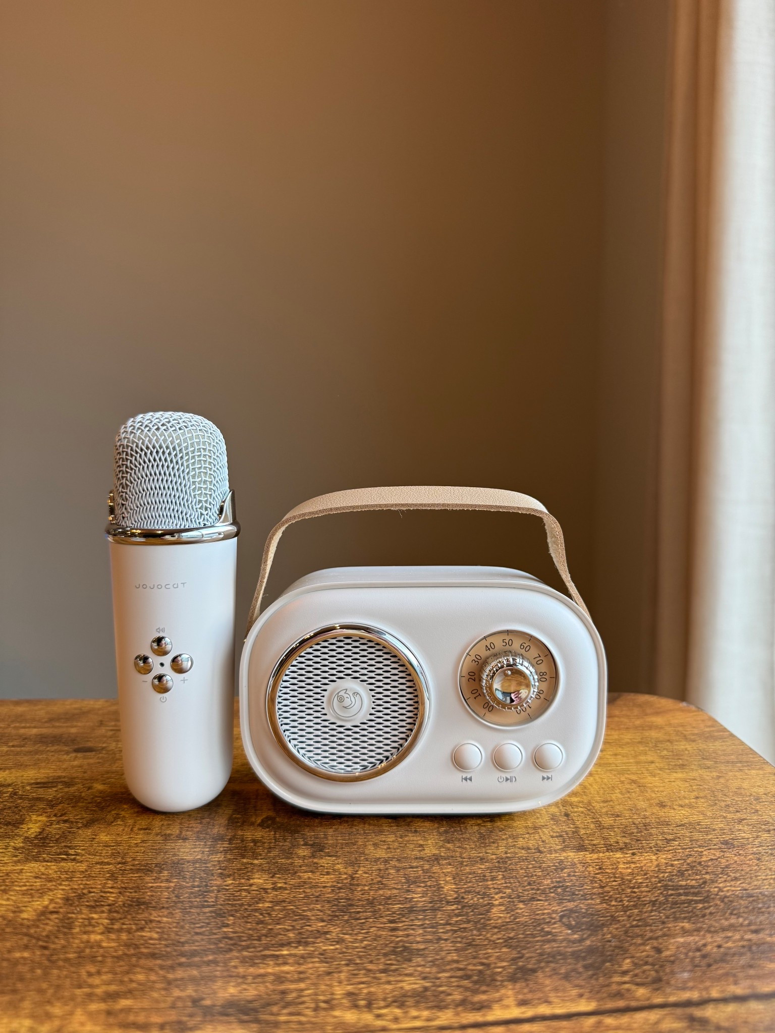 I have annoyed my husband many of times with this mini karaoke machine!🤣🤣🎤🎤

#LTKGiftGuide #LTKFindsUnder50 #LTKHoliday