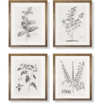 Vintage Farmhouse Botanical Wall Art - Grey Neutral Plant Leaf Sketch Drawing Etching, Beige Flor... | Amazon (US)