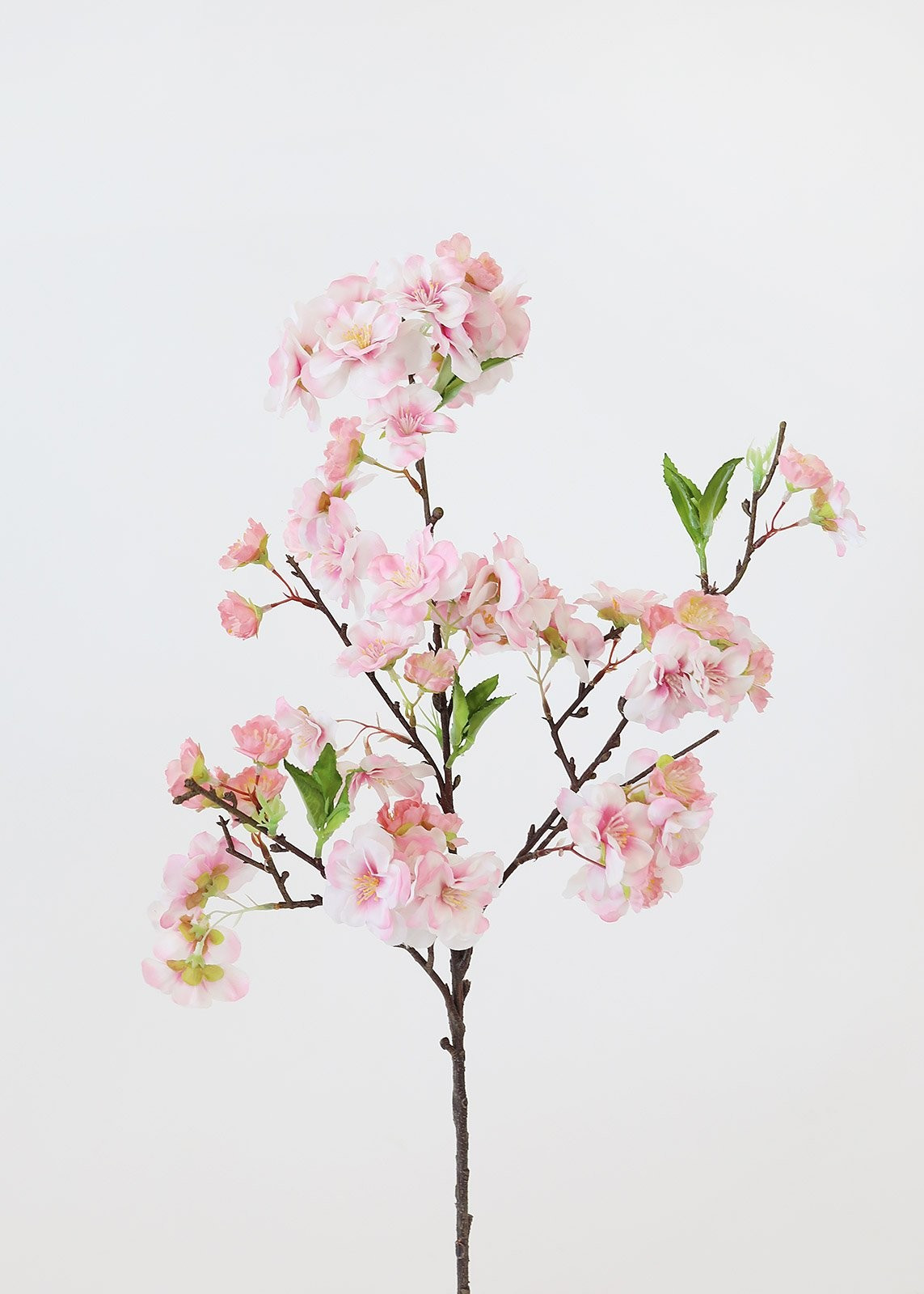 Chevron down icon | Afloral (US)