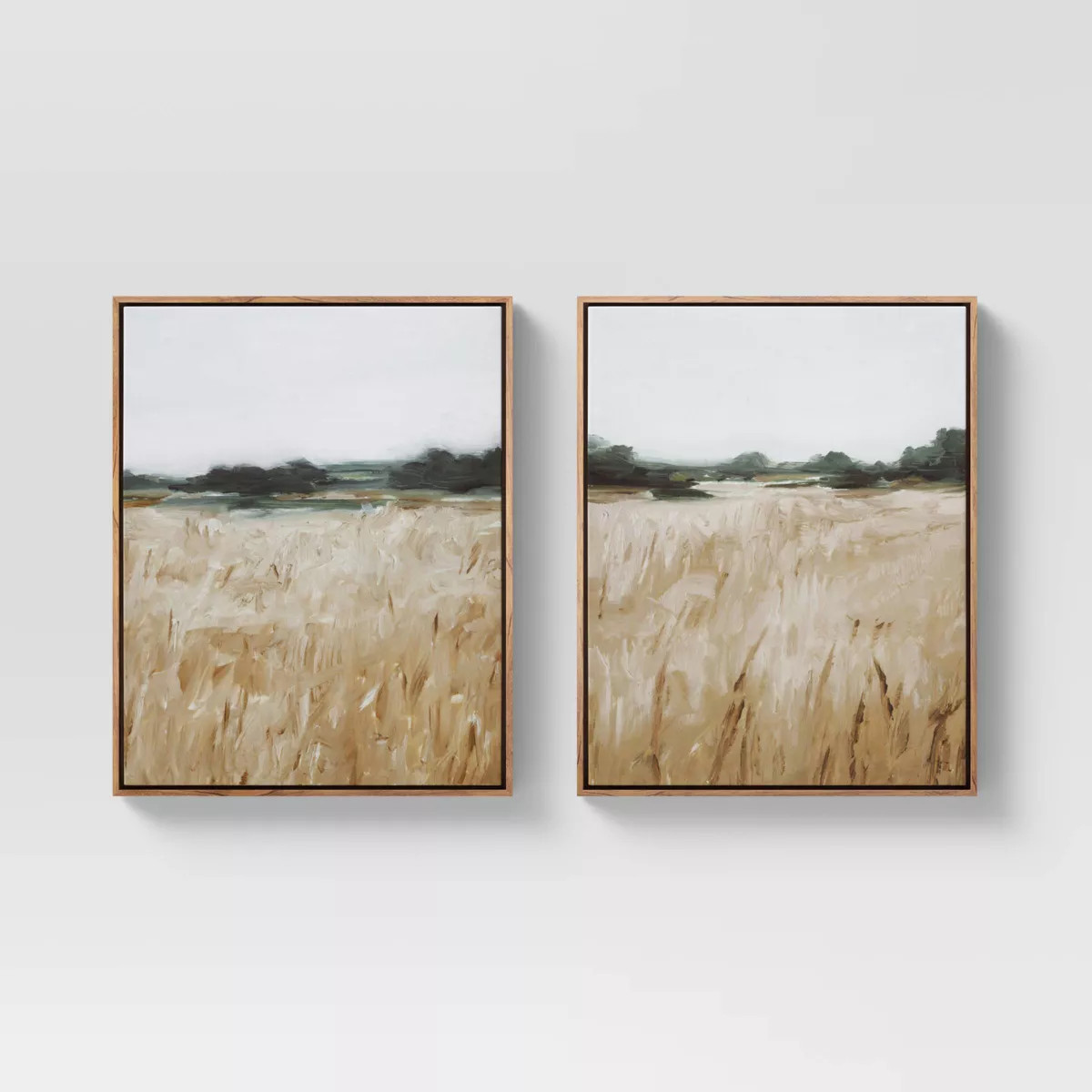 (Set of 2) 16" x 20" Grassy View Framed Canvas - Threshold™ | Target