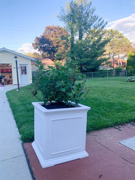 New planters for our patio 

#LTKHome