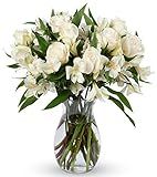 Benchmark Bouquets Elegance Roses and Alstroemeria, With Vase (Fresh Cut Flowers) | Amazon (US)