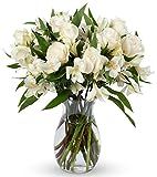 Benchmark Bouquets Elegance Roses and Alstroemeria, With Vase (Fresh Cut Flowers) | Amazon (US)