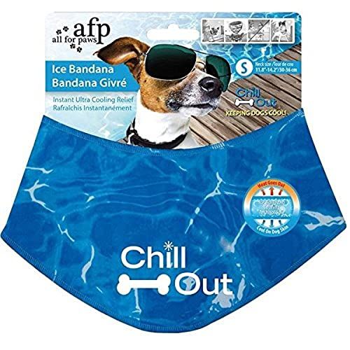 Amazon.com : ALL FOR PAWS Chill Out Dog Ice Bandana, Instant Cooling Pet Bandana, Breathable Scarf D | Amazon (US)