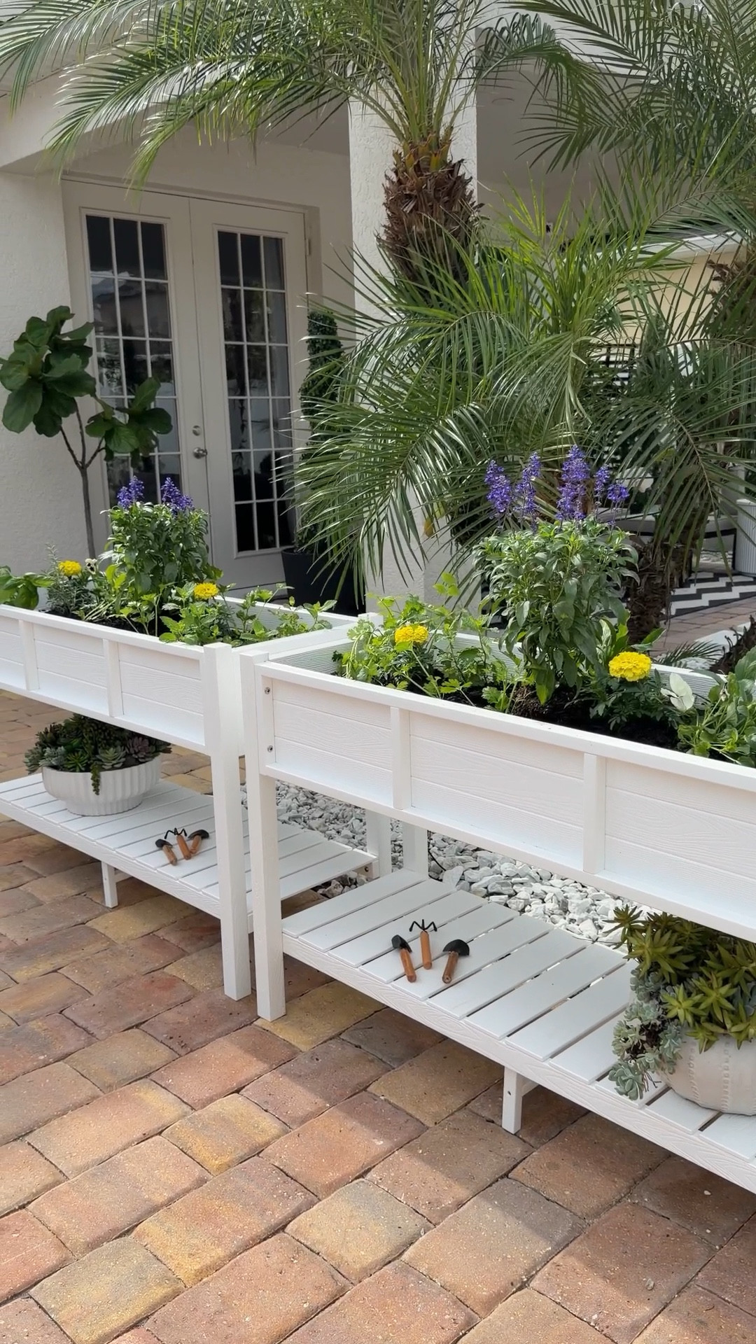 Creating beauty in the little things 🥰🌸
Obsessed with this elevated planter 🍃
And it’s on sale✨

#LTKSeasonal #LTKmomlife #LTKSaleAlert