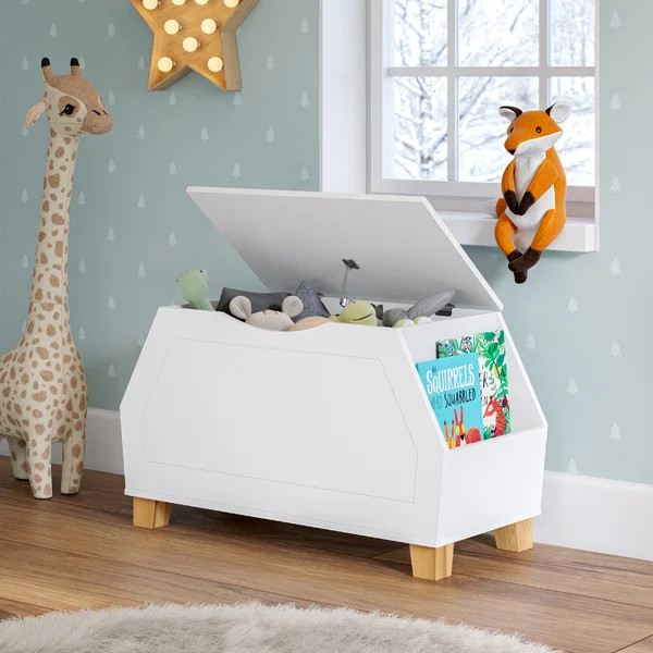 Efharis Toy Box | Wayfair North America