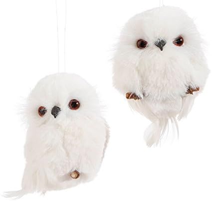 RAZ Imports 3.5 Owl Ornaments - Set of 2 Assorted | Amazon (US)