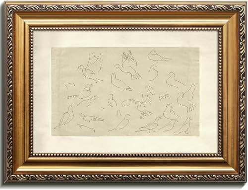 Kizbok Gold Framed Wall Art for Home Decor, Vintage Birds Sketch Line Art Prints, Minimalist Bird... | Amazon (US)