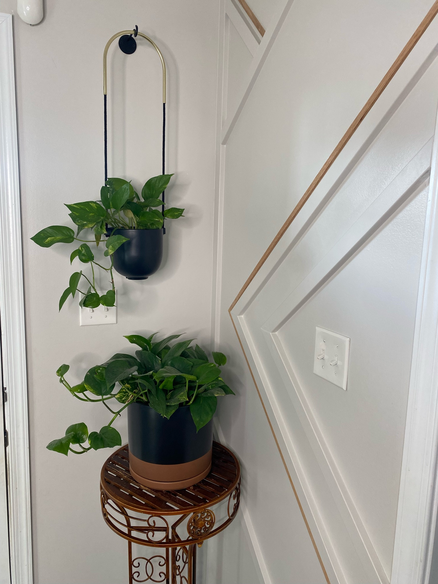 Home Decor Planters

#LTKGiftGuide #LTKstyletip #LTKSpringSale