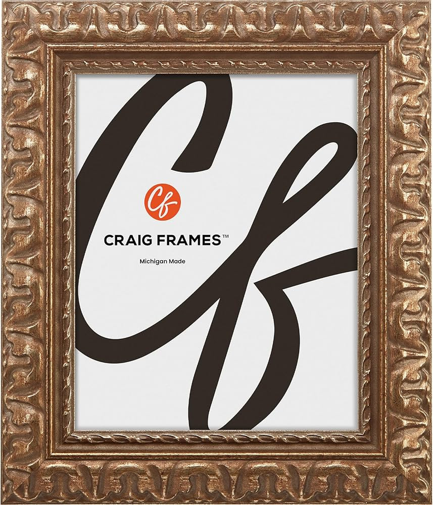 Craig Frames 16x20 Picture Frame – Bronze Gold Finish, 2 Inch Wide Frame, Includes Plexiglass a... | Amazon (US)