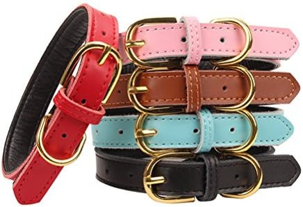 AOLOVE Basic Classic Padded Leather Pet Collars for Cats Puppy Small Medium Dogs | Amazon (US)