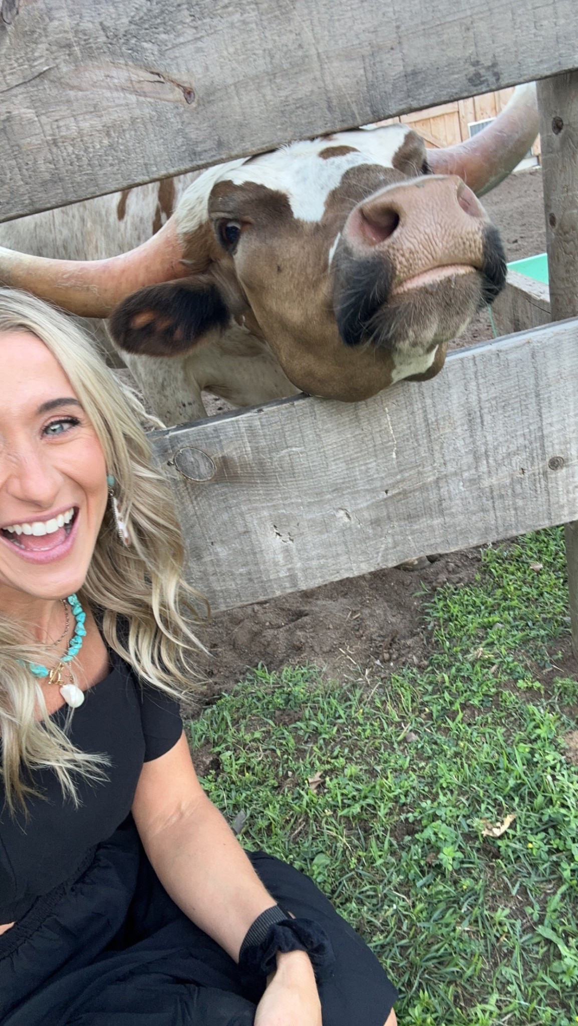 Came for the outfit… stayed for the cow selfie 🐄 Western favorites linked  



#LTKSaleAlert #LTKootd #LTKdayinmylife