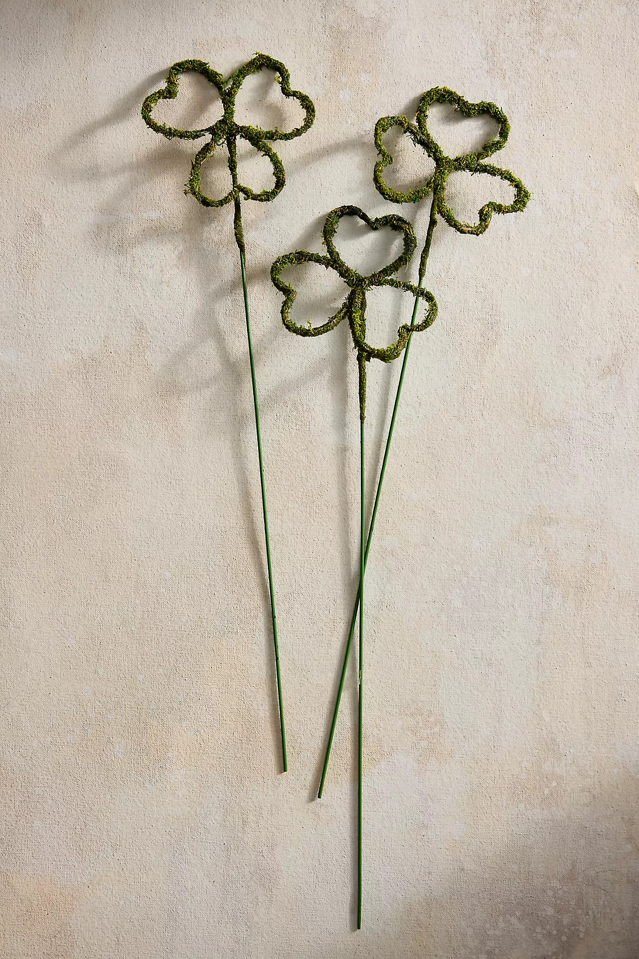 Mossy Shamrock Trellis Stakes, Set of 3 Large | Terrain