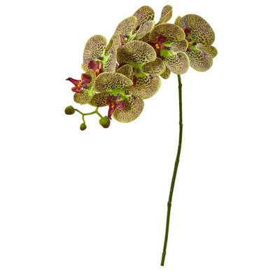 30” Phalaenopsis Orchid Artificial Flower (Set of 6) | Nearly Natural