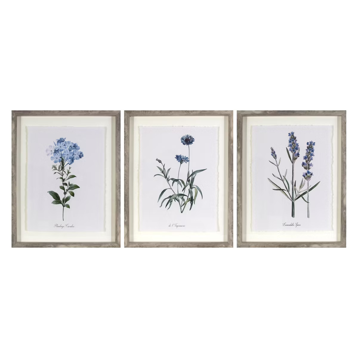 (Set of 3) 16"x20" Framed Vintage Botanicals Decorative Wall Art Natural/Blue - Threshold™ | Target