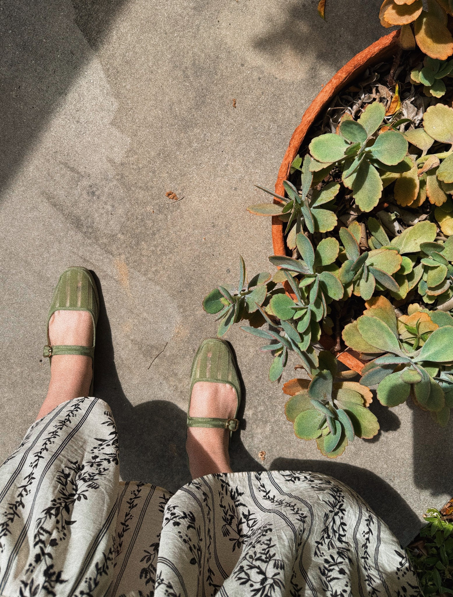 Loving these sage green flats 

#LTKStyleTip #LTKShoeCrush #LTKFindsUnder100