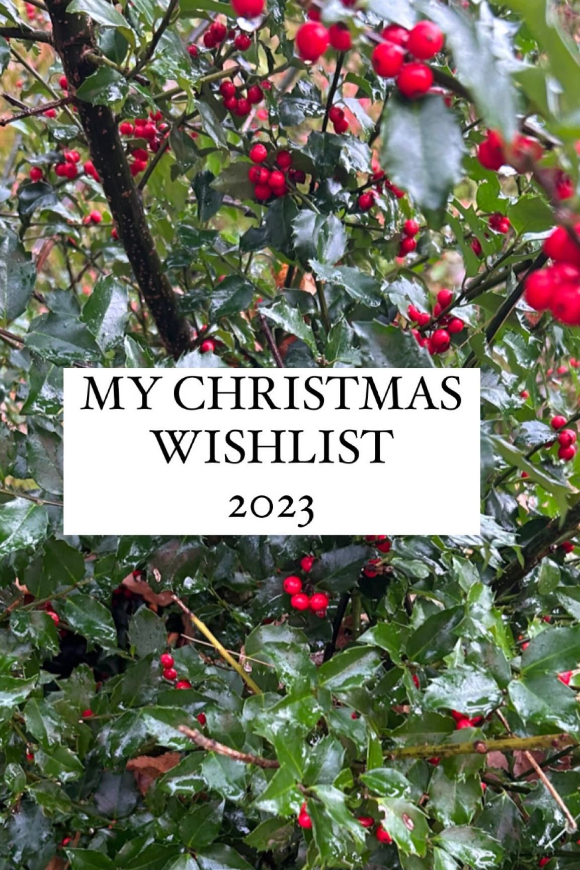 My current & unnecessary Christmas wishlist but hey a gal can dream!!!

#LTKHolidaySale #LTKGiftGuide #LTKHoliday