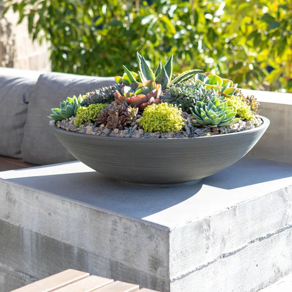 Pure Series Plastic Pot Planter | Wayfair North America