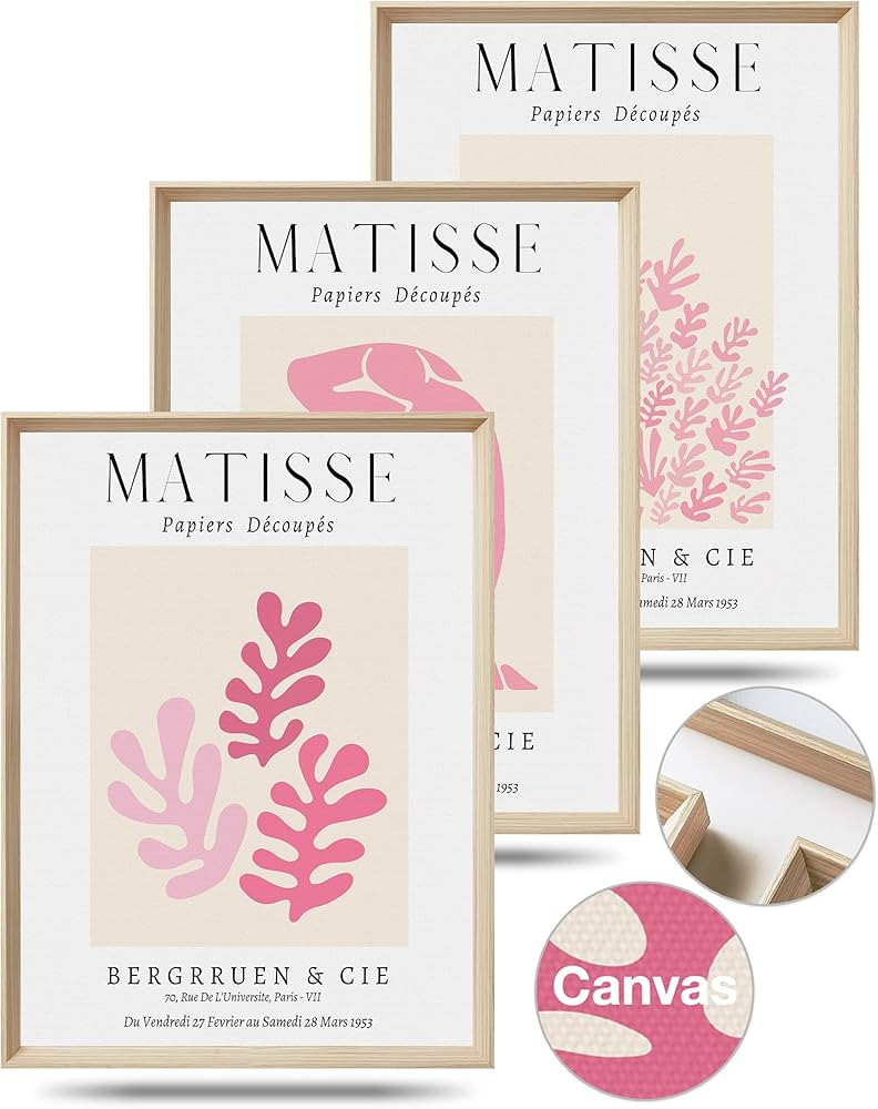 Framed Matisse Pink Canvas Wall Art,Abstract Matisse Canvas Wall Decor,16x12IN High Framed Wood D... | Amazon (US)