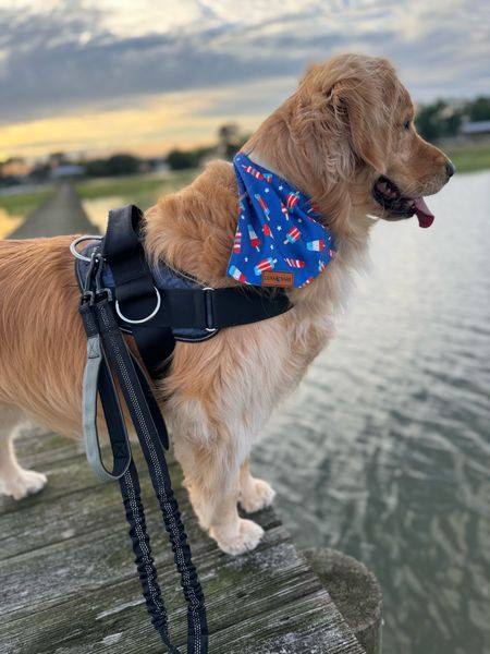 Stubberoooni📸🇺🇸🐾🤎 cutie festive dana from amazon — he’s in the L! I do the medium for Kollyns☺️ 

Dog mom / leashes / pet things / golden retriever / Holley Gabrielle 

#LTKFitness #LTKFindsUnder50 #LTKFamily