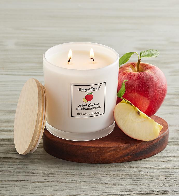 Apple Orchard Scented Candle | Harry & David