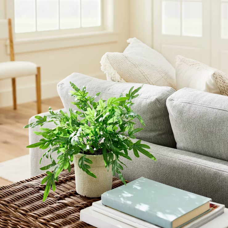 Medium Ribbon Fern Leaf in Pot - Threshold™ designed with Studio McGee | Target