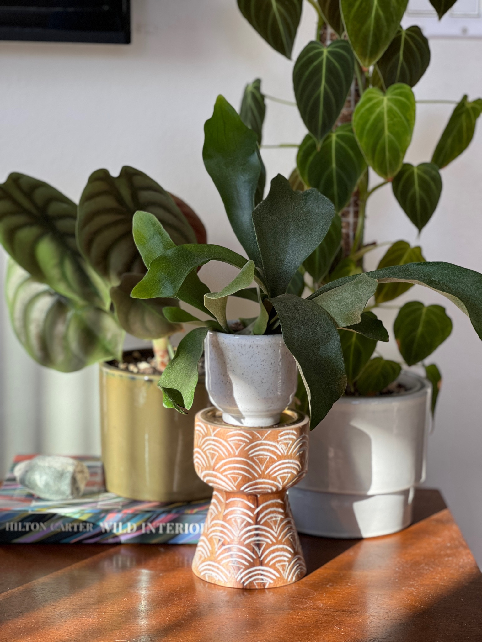 Plant on pillar candle holder

#LTKhome #LTKGiftGuide #LTKstyletip