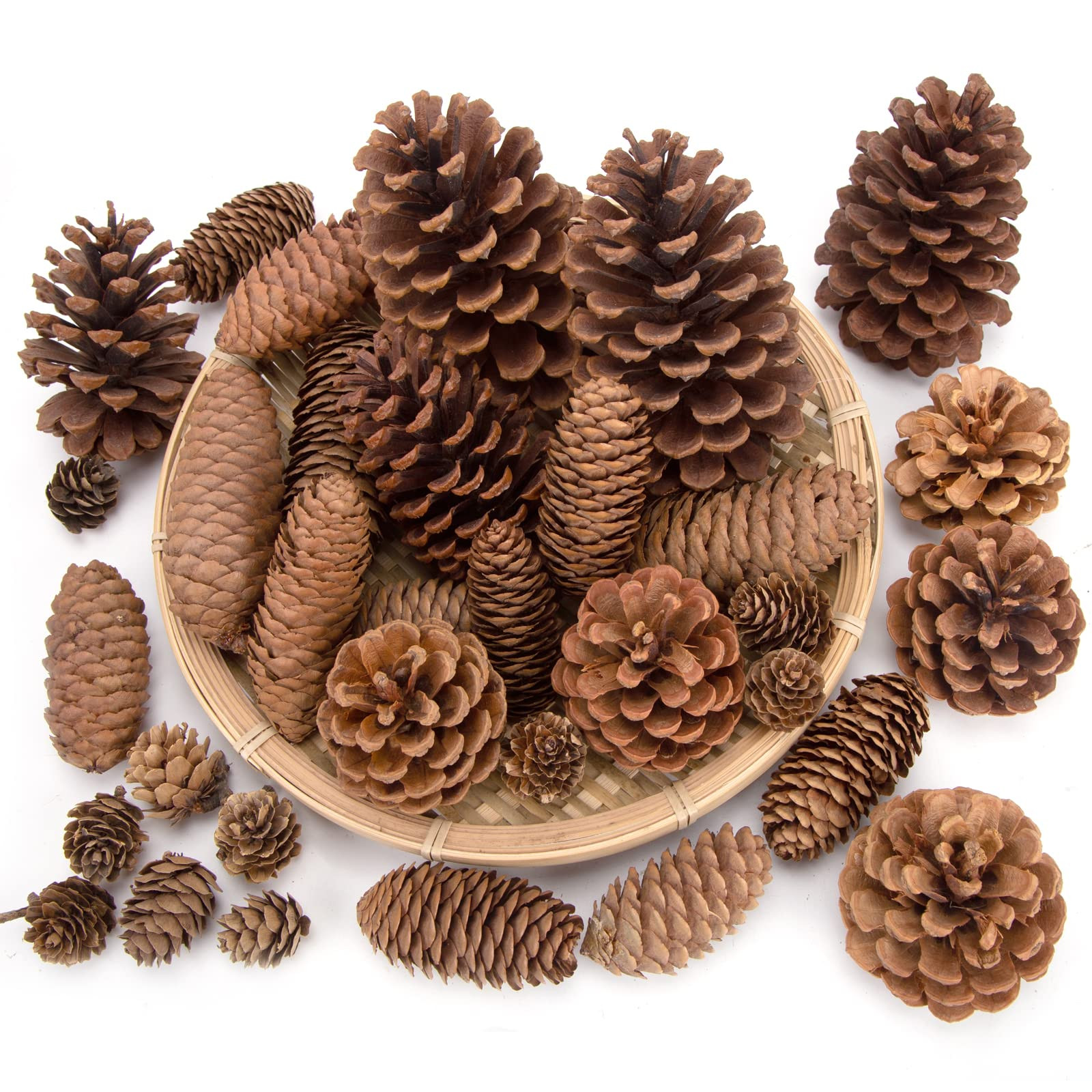 JOHOUSE 50PCS Large Natural Pinecone Ornaments, Pine Cones for Crafts, Pinecone Ornaments for Chr... | Amazon (US)