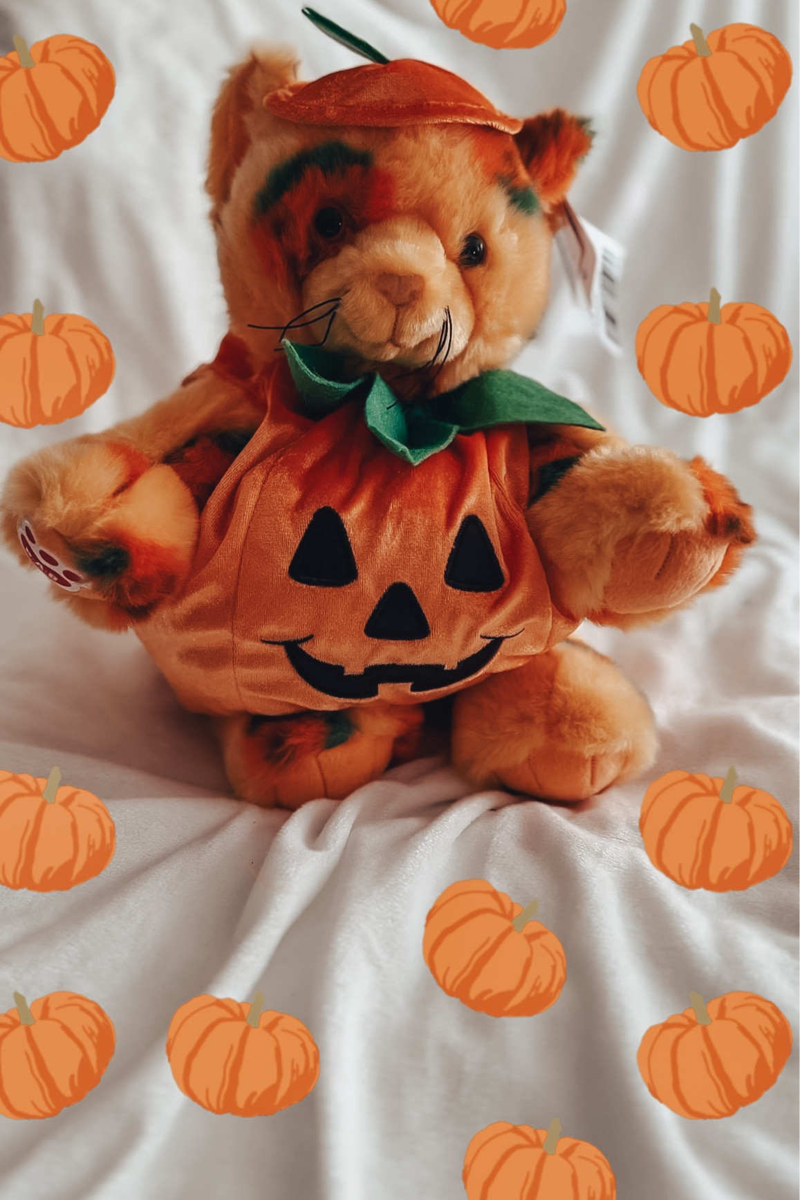build a bear, halloween vibes, halloween aesthetic, pumpkin kitty , Halloween decor, Halloween home, gothic home, Halloween mug, cozy home, home decor, boho home, hygge,  aesthetic home

#LTKSeasonal #LTKFallSale #LTKFindsUnder100